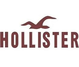 Hollisterco Coupons and Promo Code