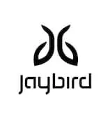 Jaybird