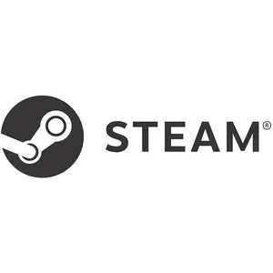 Steam